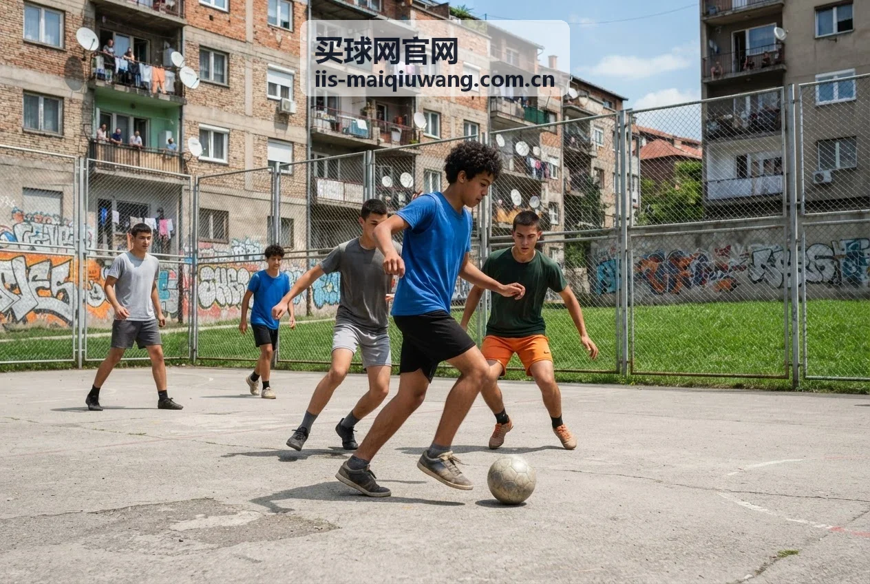 买球网官网解决方案